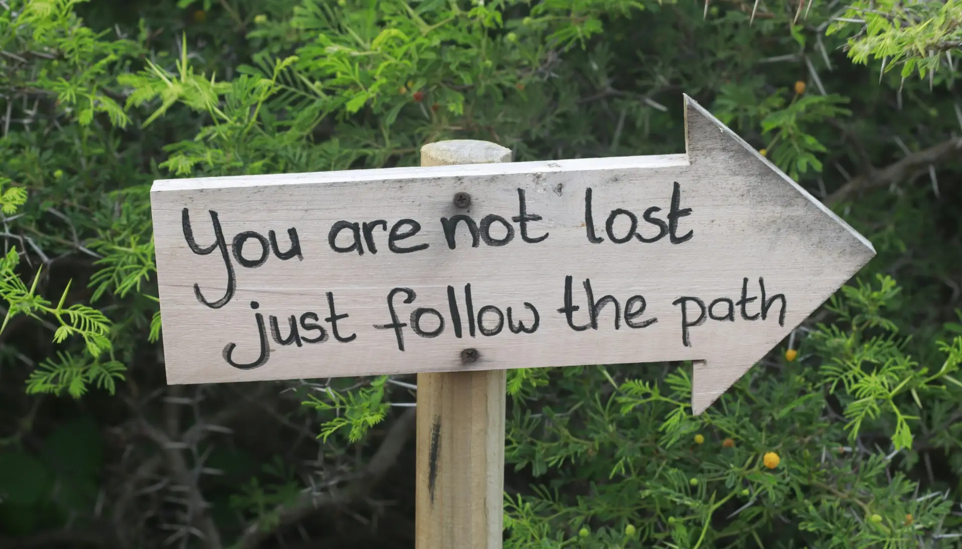 path to retirement